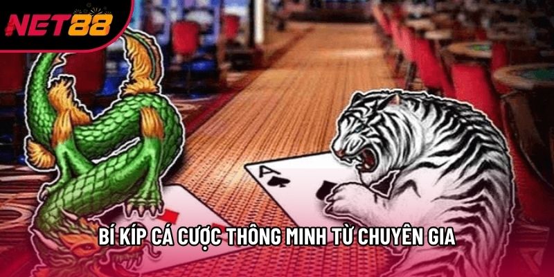 Bí kíp cá cược thông minh từ chuyên gia Bí kíp cá cược thông minh từ chuyên gia
